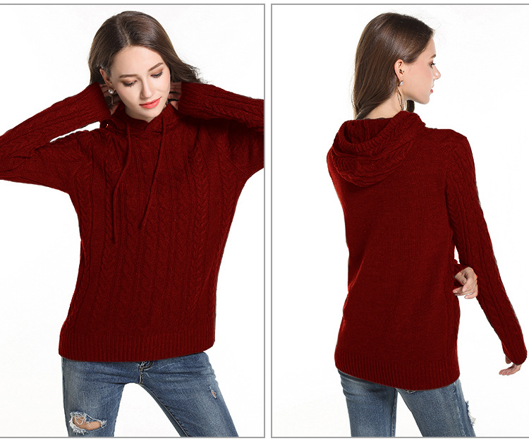 Casual Slim Hooded Knitwear NSYH22095