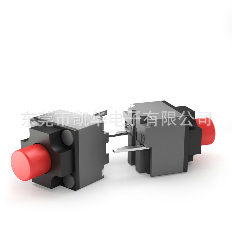 629501D09 (2).jpg