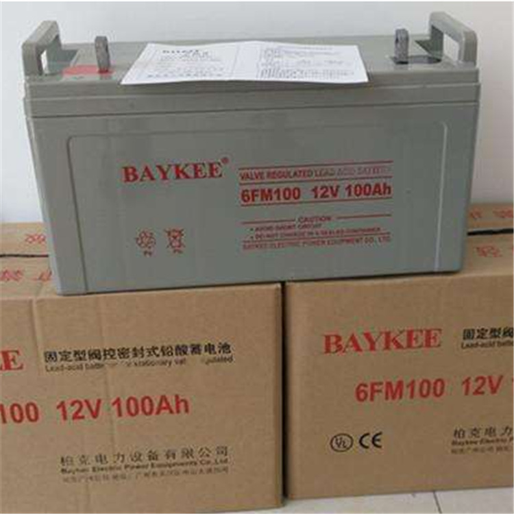 12V100AH