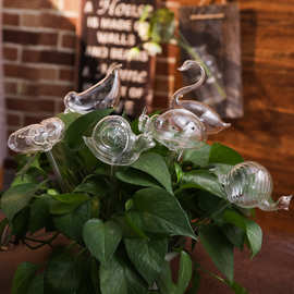 家用玻璃懒人自动浇花器阳台庭院盆栽玻璃球卡通滴水器浇水器