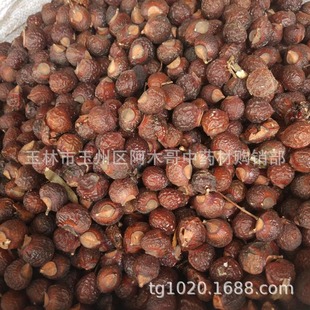 ϴ�ֹ� �o���� ��ș�� ������ �в�ș
