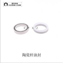 【照宇科技】厂家直供低压油封 白色进口油封 陶瓷杆油封Y型油封