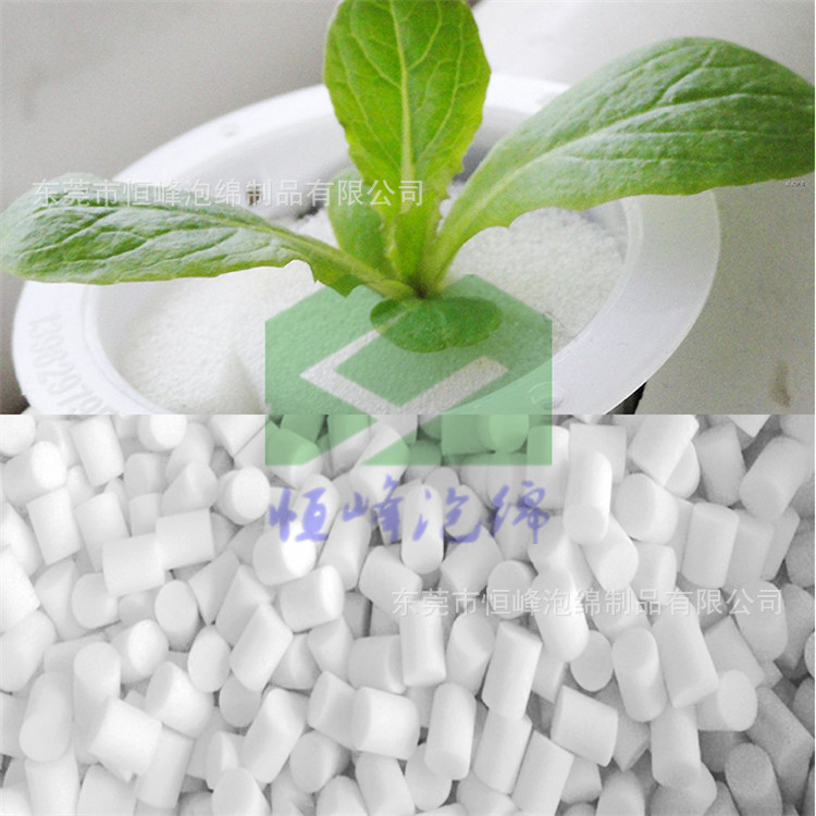 厂销聚氨酯泡沫定植绵 青菜蔬菜基地培植海绵 生产基地