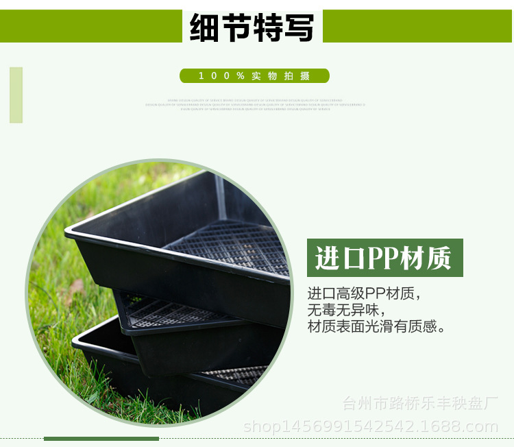 铁皮石斛育苗盘详情 (4).jpg