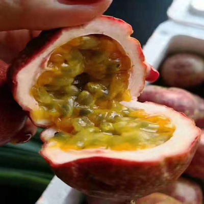 云南百香果产地直选5斤装酸爽香甜 全年供货微商一件代发水果