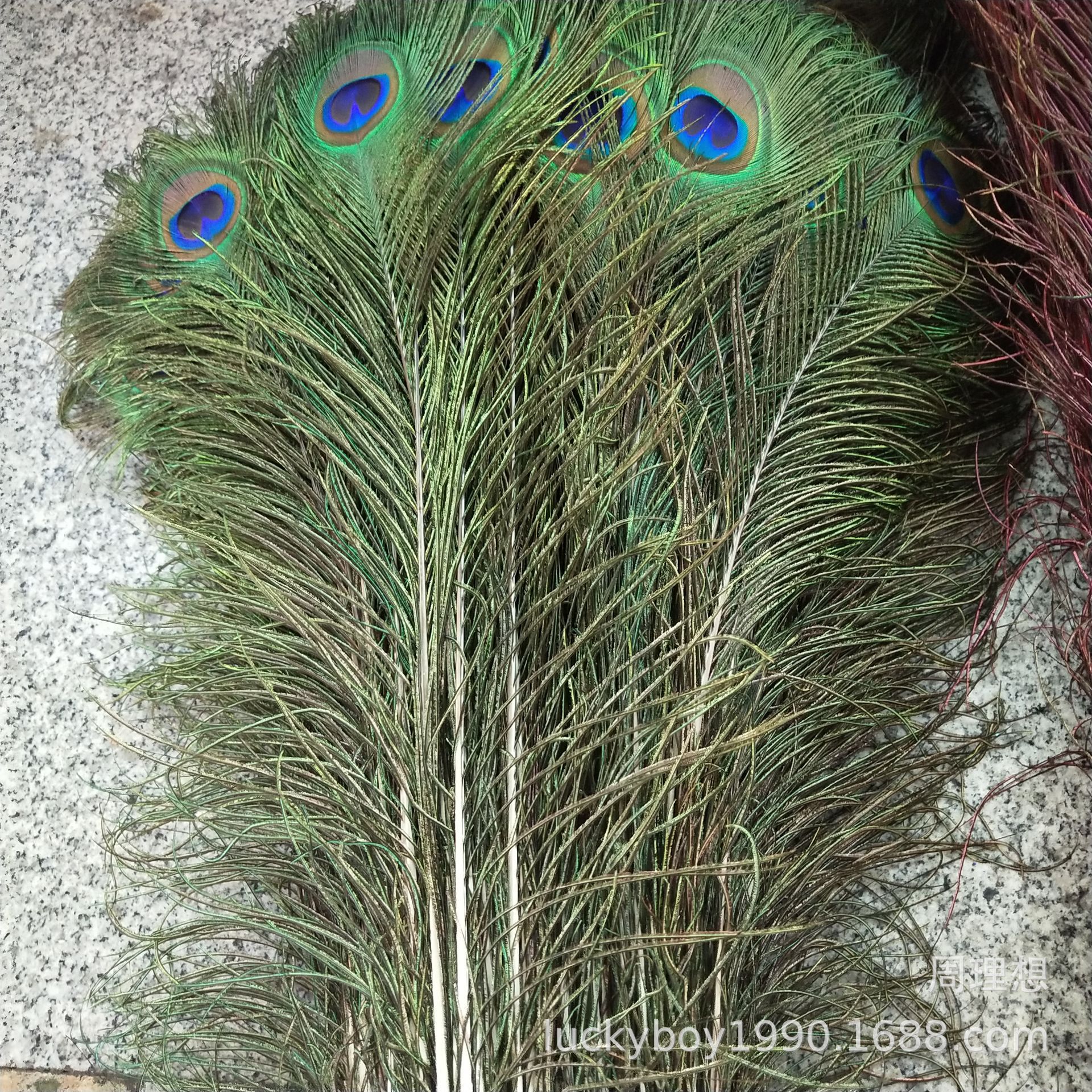 87DF72F648B5CE772132C38B60C96B