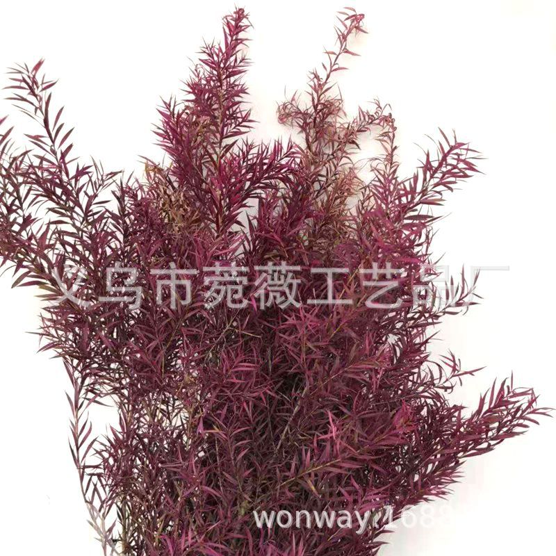 微信图片_20181102152211