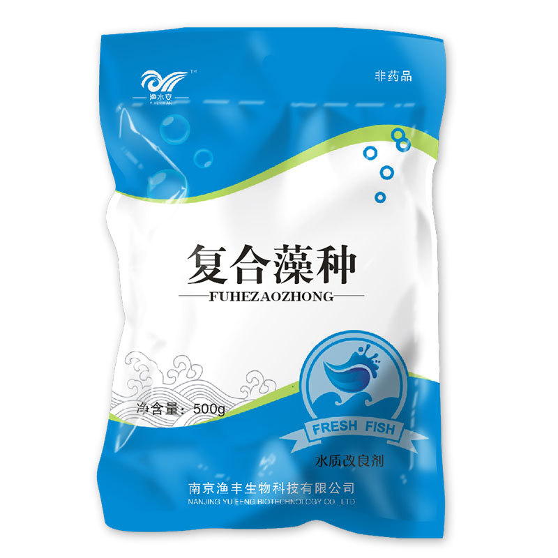 南京渔丰小球藻藻种浓缩硅藻复合藻种水产养殖|ms