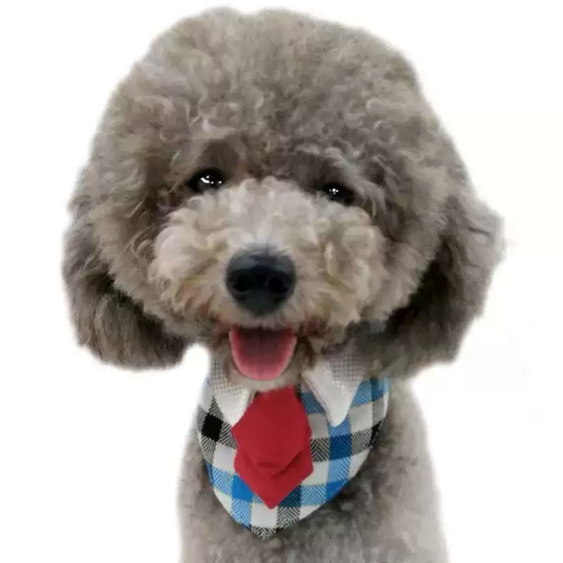 Eating bib, scarf, choker, bow tie, custom-made