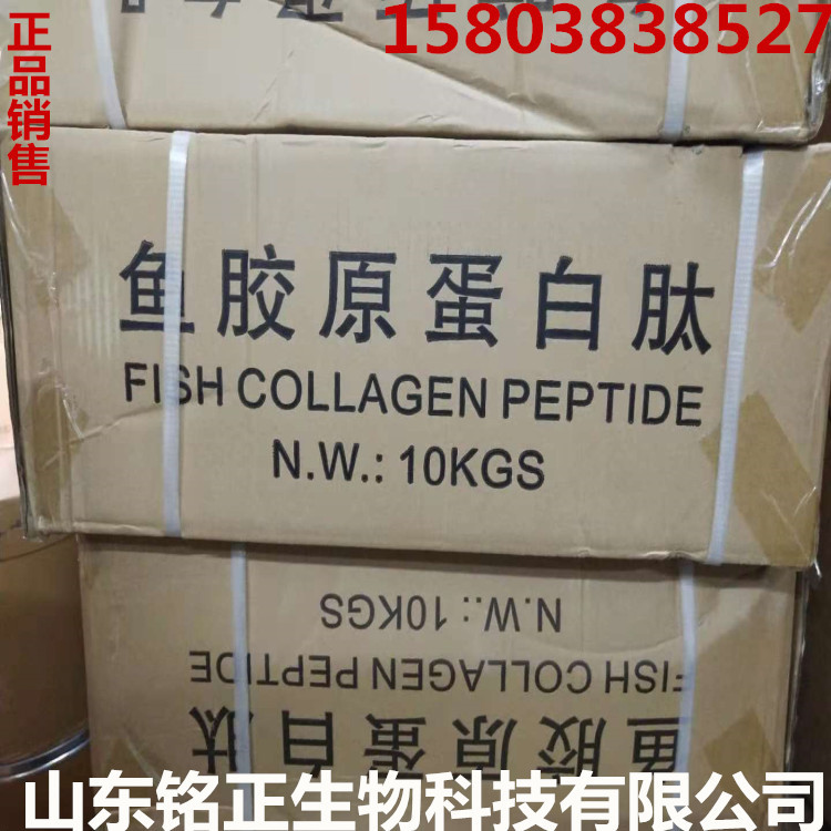 鱼深海鱼胶原蛋白粉水解口服胶原蛋白批发 胶原蛋白肽粉
