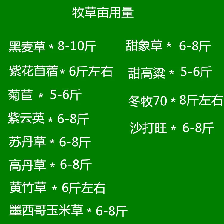 Виды кормообразных трав Huangzhu трава Medicago sativa Люцерна виды райграса виды кукурузной Травы Трава Гордан сладкий сорго Ixeris endive