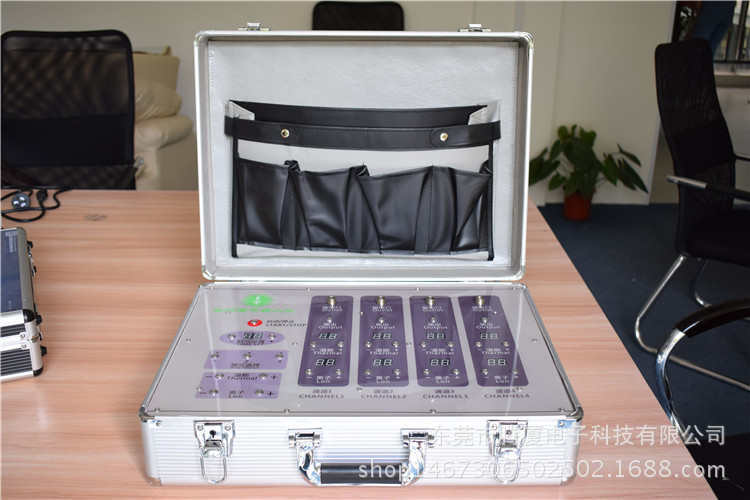 中药定向透药治疗仪中药离子导入治疗仪离子导入系统治疗仪|ms