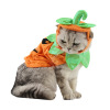 Ji Zai Pet Products Factory Dog Hat wholesale Pumpkin Set Pumpkin Festival Halloween cat jewelry clothing