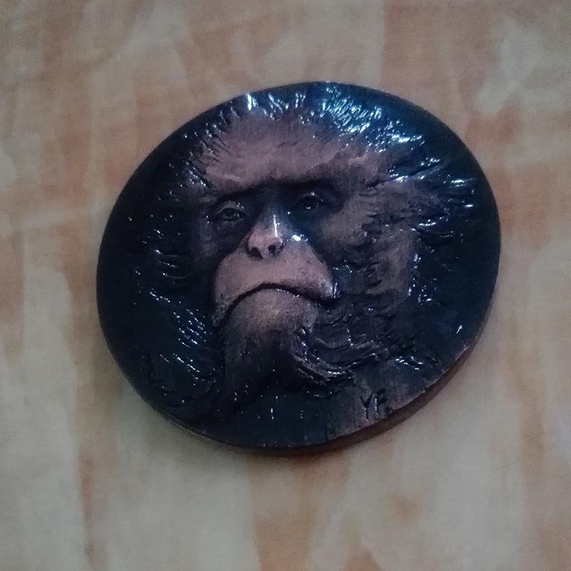 8mm红铜猴纪念币 (2)