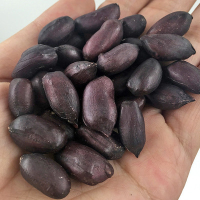 Live broadcast[Students]Black peanuts 3 pounds loaded Soybean Milk Garnish Porridge Available