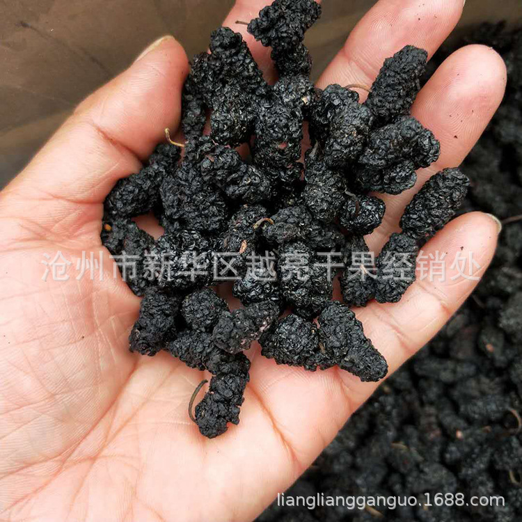 2018年新货 可拿样 黑桑葚   优质桑葚干 无土无沙 20斤每箱