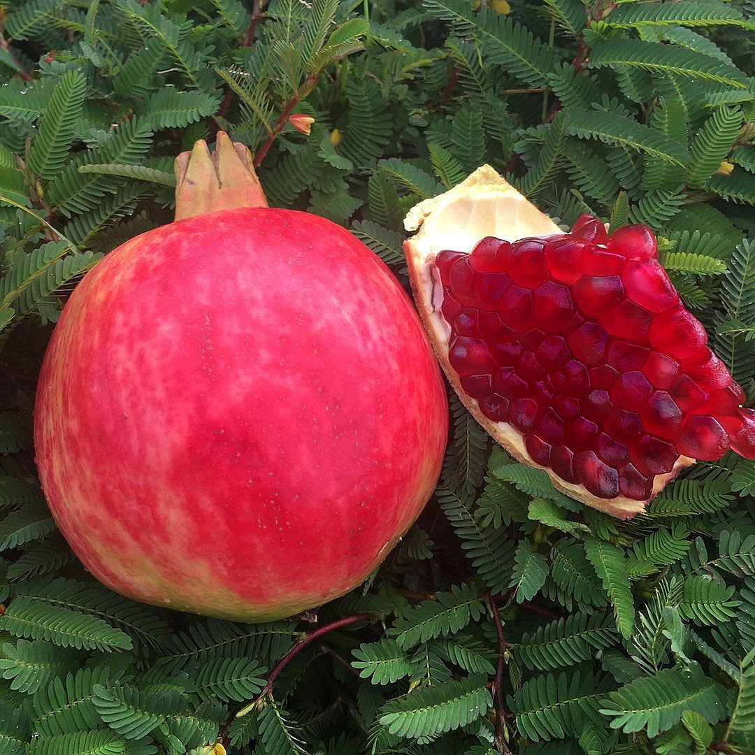 大凉山突尼斯软籽石榴非青皮水晶石榴酸甜超蒙自石榴临潼软籽石榴