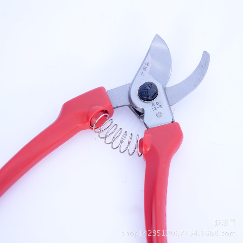 Tijeras de podar de rama de flor Rama de jardín Rama de flor/Tijeras de jardinería Tijeras de rama de flor Tijeras de arreglo floral Materiales de embalaje de flores