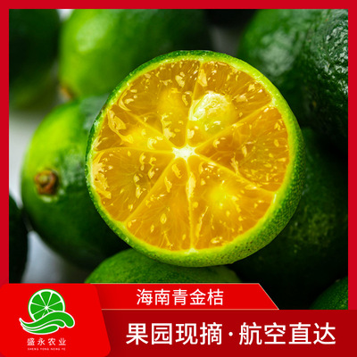 新鲜水果青金桔3斤箱装青柠檬批发青金桔皮薄味香一件代发