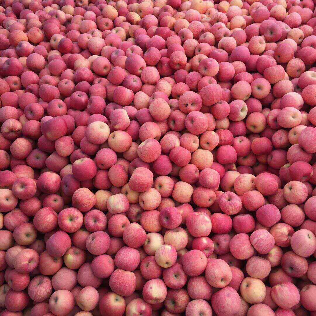 微信图片_20180307235503