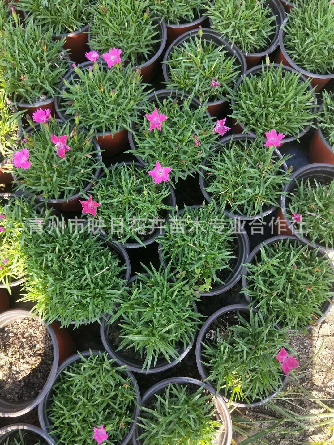 3$HV@OSK1ZROVNZ[5Y93)%G