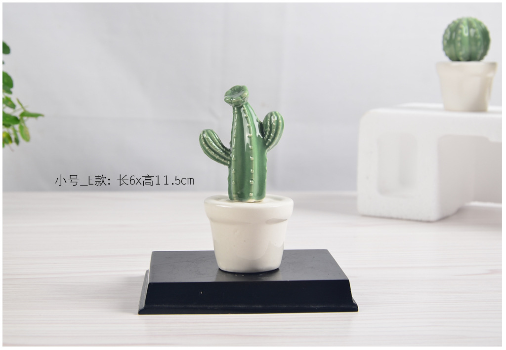 仙人掌07展示22.jpg