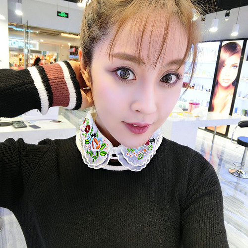 Women's Fake Collar Shirt Fake Collar Lace Chiffon Print Embroidery Fake Collar Doll Collar Stand Collar Half Collar