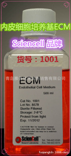 ؛̖��1001 ��Ƥ�������B��ECM Sciencell   500ml - �Ÿ�������