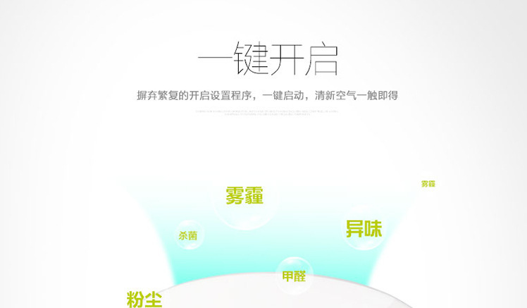 2024 new car air purifier home maternal and child intelligent sterilization in addition to formaldehyde anion purifier gift