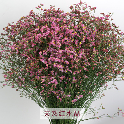 云南鲜花批发 昆明鲜花基地彩色水晶草鲜花永生干花航空速运|ms