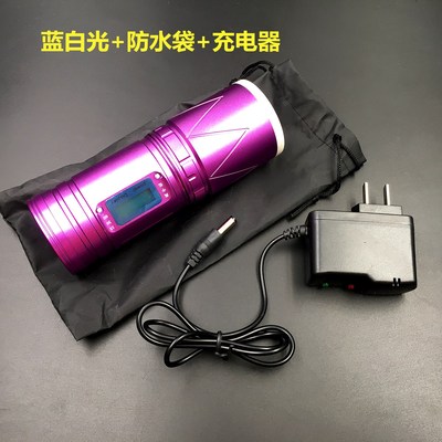 龐克數碼藍光白光紫光黃20W雙光源釣魚燈夜釣燈強光變焦充電