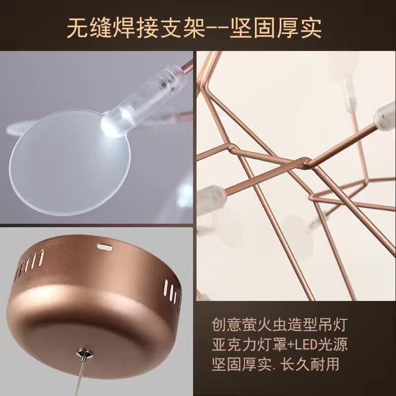 枝形萤火虫细节图片