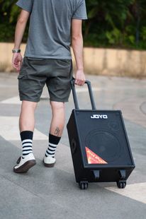 JOYO JPA-863�{��������{���������������u��ľ�����������