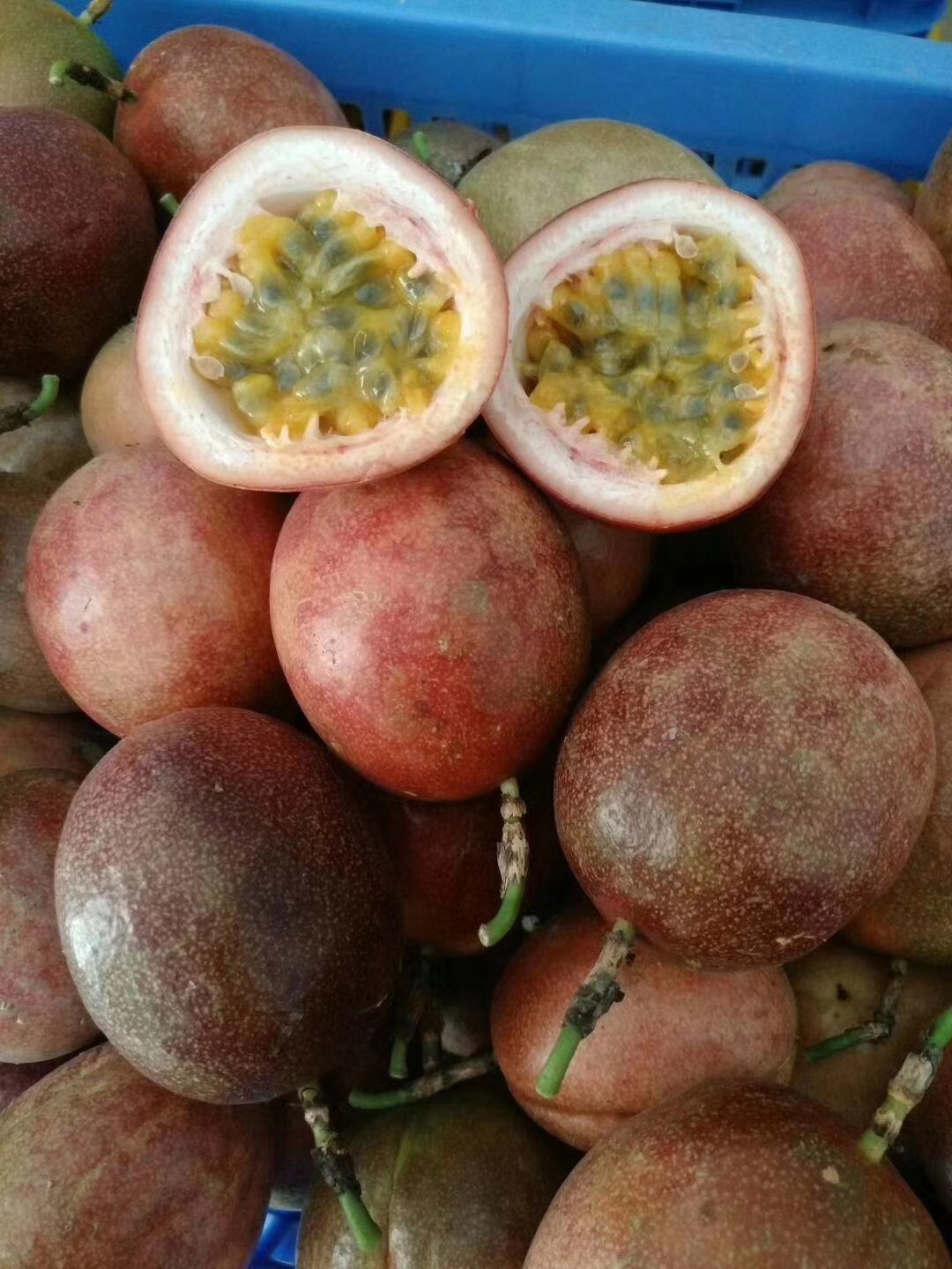 百香果孕婦果新鮮水果 西番蓮雞蛋果包郵 紫香百香果壹件代發