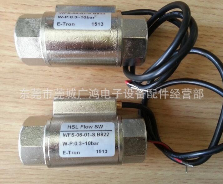 HSL流量计，HSL电磁阀流量计，WFS-06-01-S.B822,HSL,