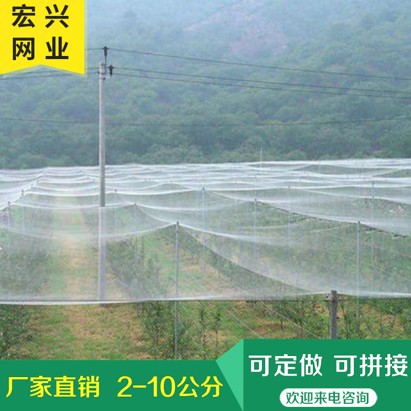 防鸟网跨境独立包装 植物防护网 果树网罩网袋网箱 庭院尼龙防鸟