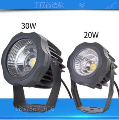 led Spotlights Spotlight 10W outdoors waterproof Shoot tree lights outdoor gardens Lawn COB Spotlight vc For projects