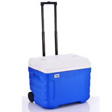 40LPUҩƷԼcooler bags