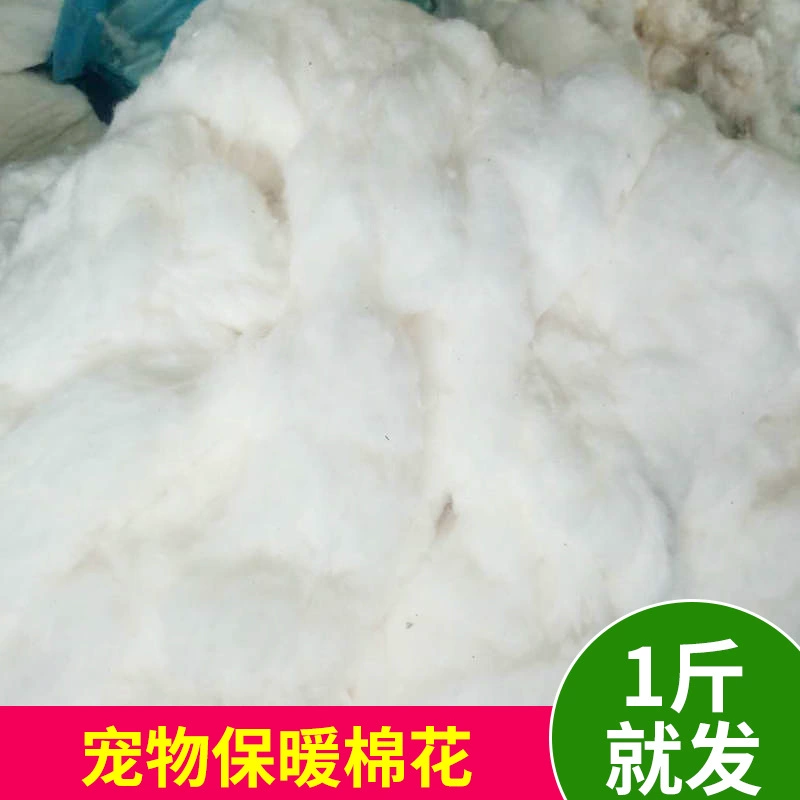 Оптовая Продажа с фабрики хомяк Тоторо белка Хлопок Кролик Си Ши Медведь домашнее животное теплый хлопок