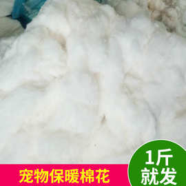 厂家批发 仓鼠龙猫松鼠棉花 兔子西施熊熊仔宠物保暖棉花