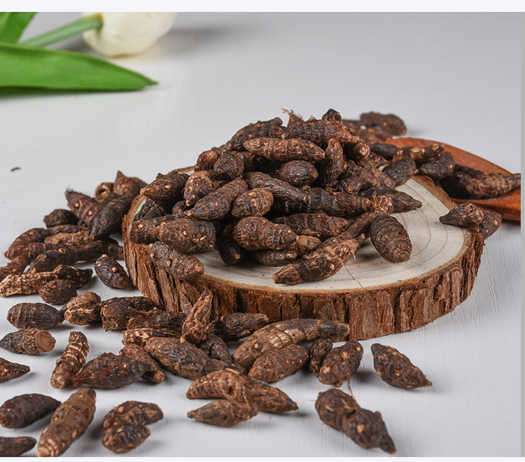Xiang Fu Zi (Cyperus rotundus) — Dried Nutgrass Rhizome, 500g Food Herb key features
