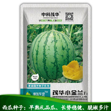 中科茂华蔬菜种子公司批发茂华小金兰黄肉礼品西瓜种子3-4斤20粒