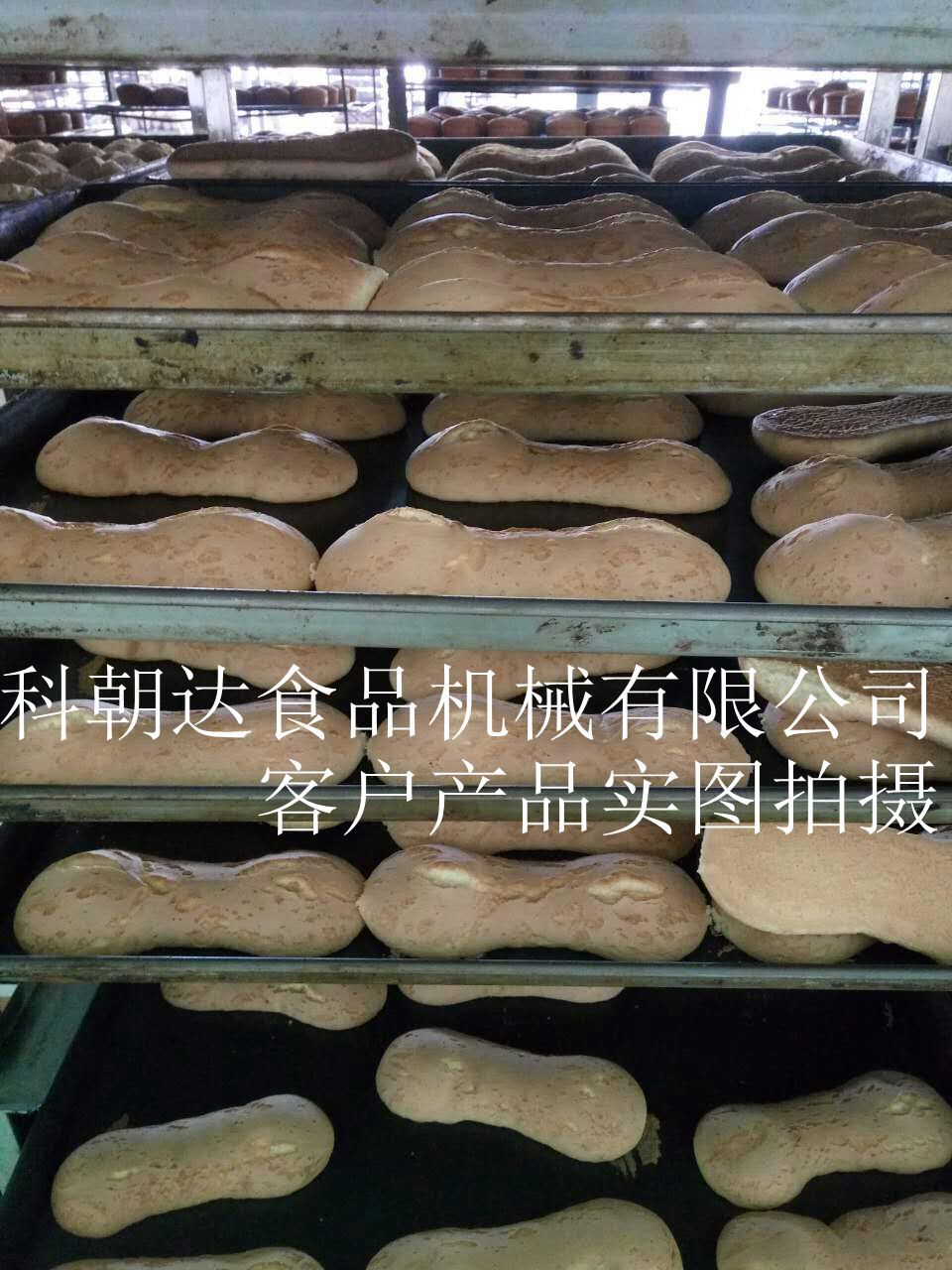 QQ图片20161219103127_副本