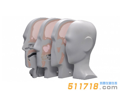 美国CIRS 731-HN头部模体