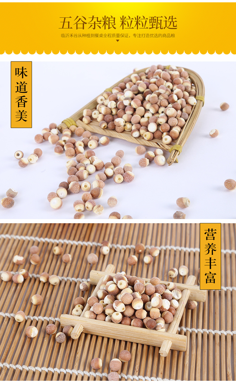 Dried Euryale Seed Qian Shi Whole Gorgon Fruit 500g Low Temperature Roasted for Grinding preparation
