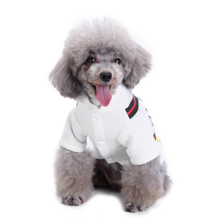 Casual Polyester Lion Pet Clothing display picture 3