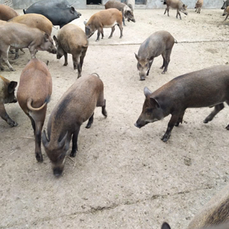 Screenshot_2018-01-05-11-29-19