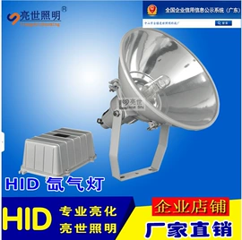 防爆灯;投光灯;LED装饰灯