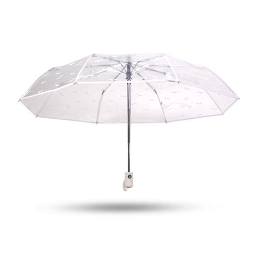 Umbrella transparent umbrella folding umbrella fully automatic umbrella Korean transparent umbrella small fresh girl multi-color sunny umbrella student umbrella