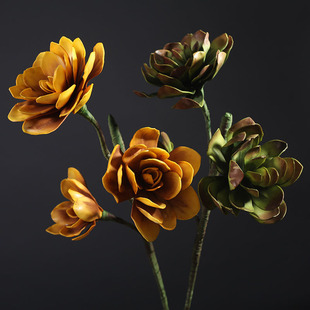 LF1832��ʯɏ ���滨�Gֲ �͏dܛ�b�ҾӔ[�O ��c���������zӰ